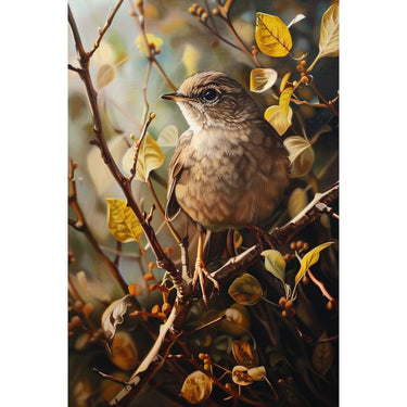 Nightingale Bird Canvas